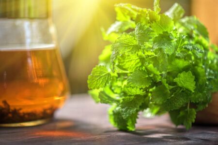 How to Make Spearmint Tea Image